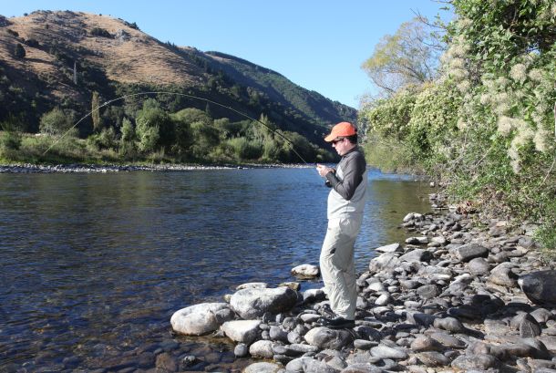 South Island sojourn